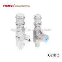 Stainless Steel Hydraulic Adjustable High Pressure Safety Relief Valve